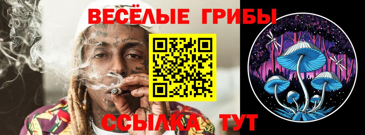 Галлюциногенные грибы мицелий  Галлюциногенные грибы прущие грибы  Вход с VPN  Ачинск 